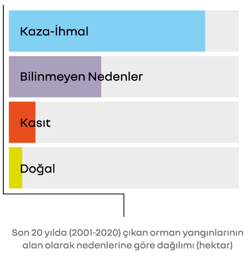 Türkiye'de Orman Yangınları Neden Çıkıyor? & Hektar | Enerjisa Üretim